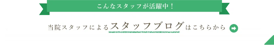 こんなスタッフが活躍中